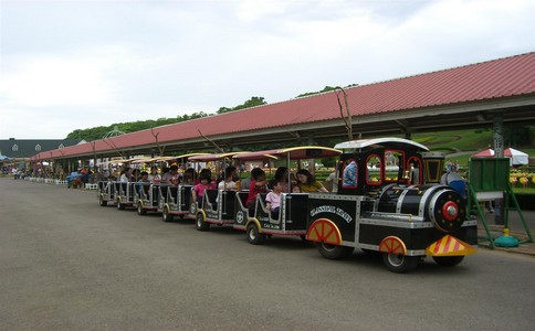 �M��ʘ��ИI(y��)δ���l(f��)չڅ�ݵ����͊ʘ��O(sh��)������Щ